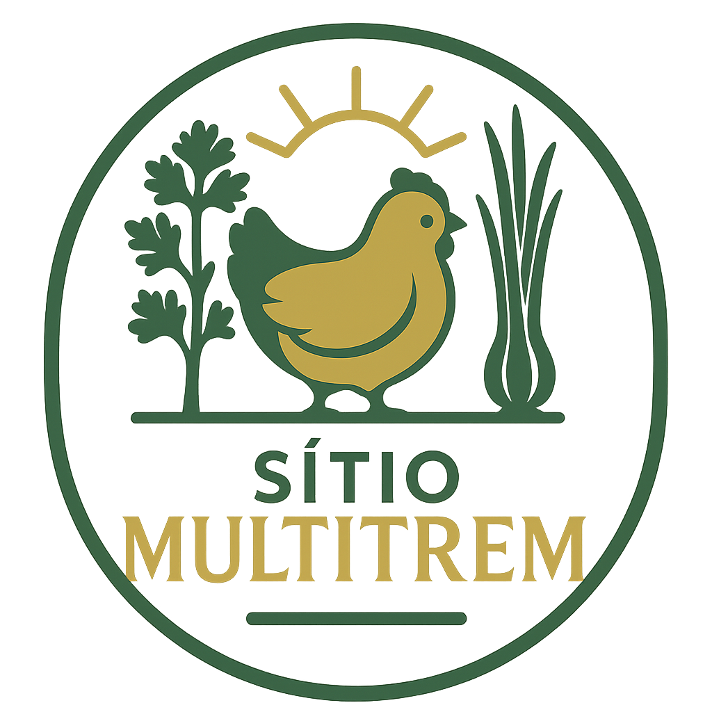 Logo Sítio Multitrem